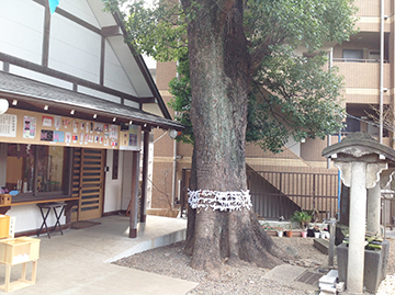 0008_氷川神社